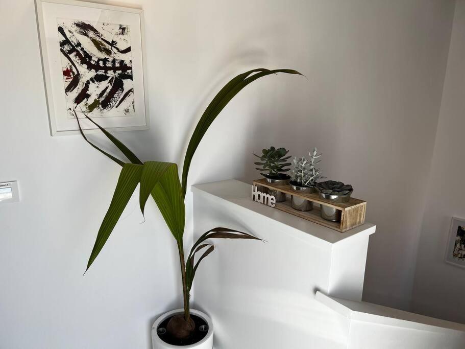 2B-Precioso Apartamento En Pleno Centro. A Estreno アルカサル・デ・サン・フアン エクステリア 写真